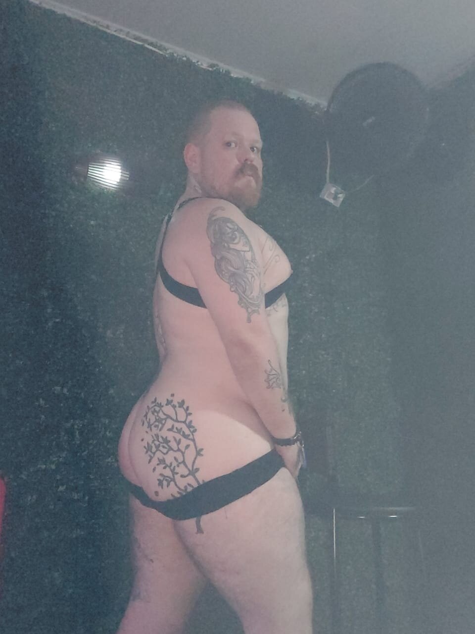 beartattoolibrabr