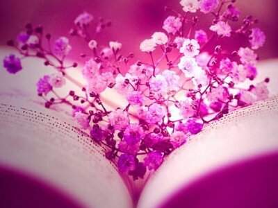 salviya_love 🥀 live stream