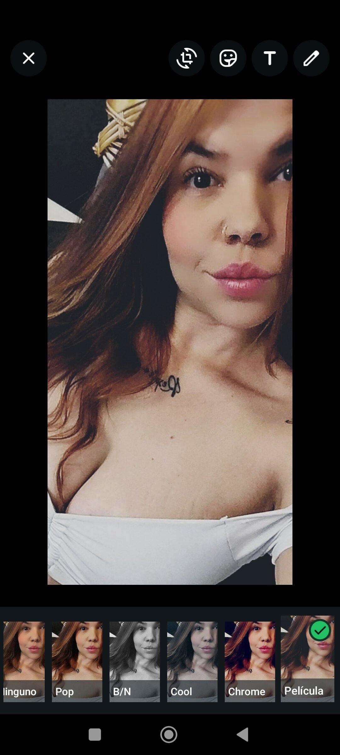 lysash