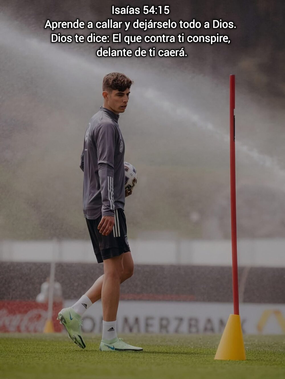 Caballero-simak's Offline XXX Chat