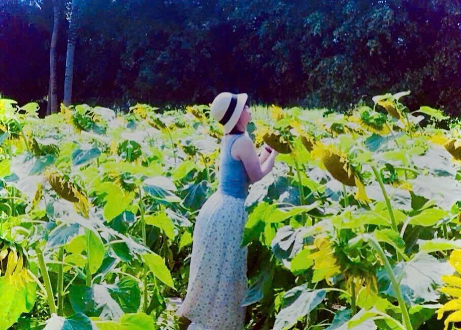Hann-nii