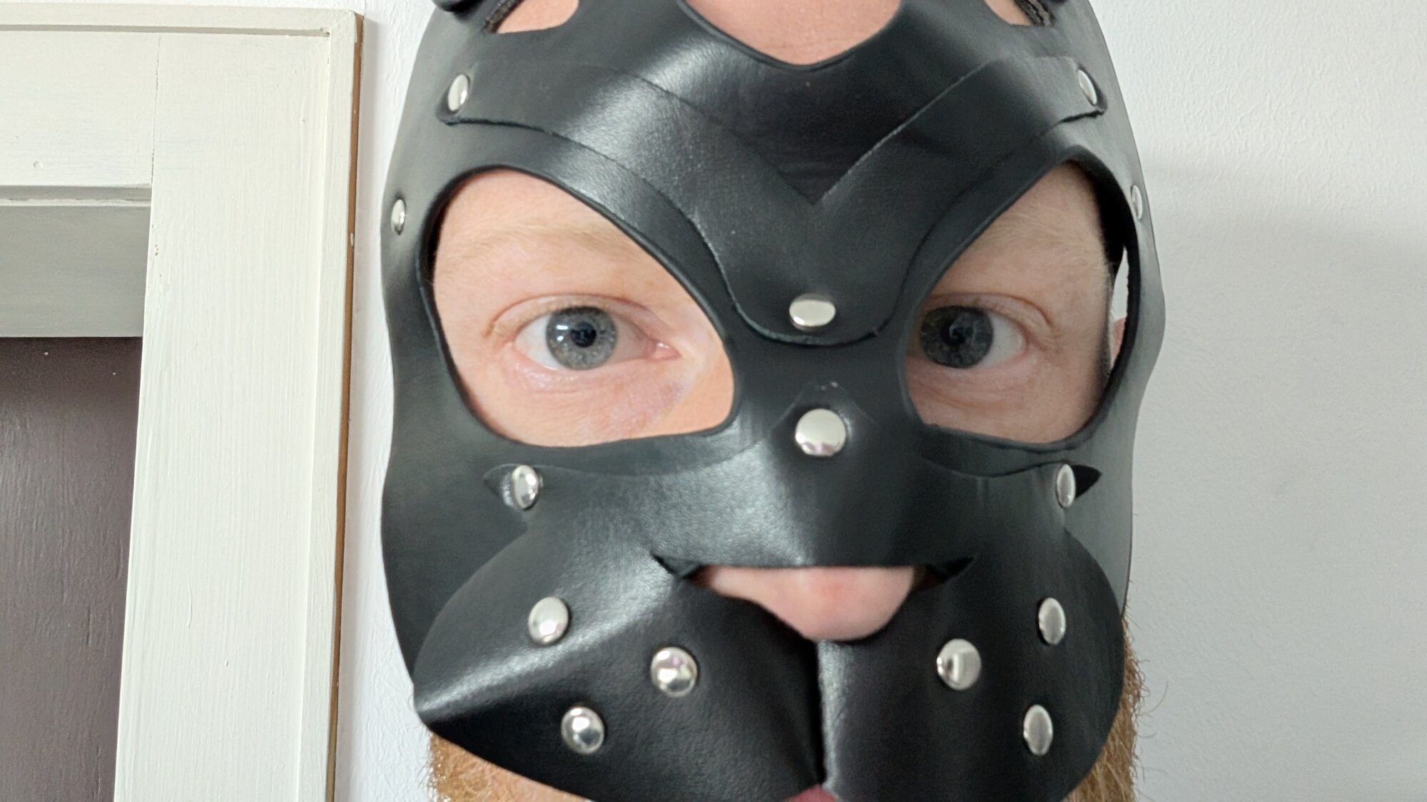 Ares_966