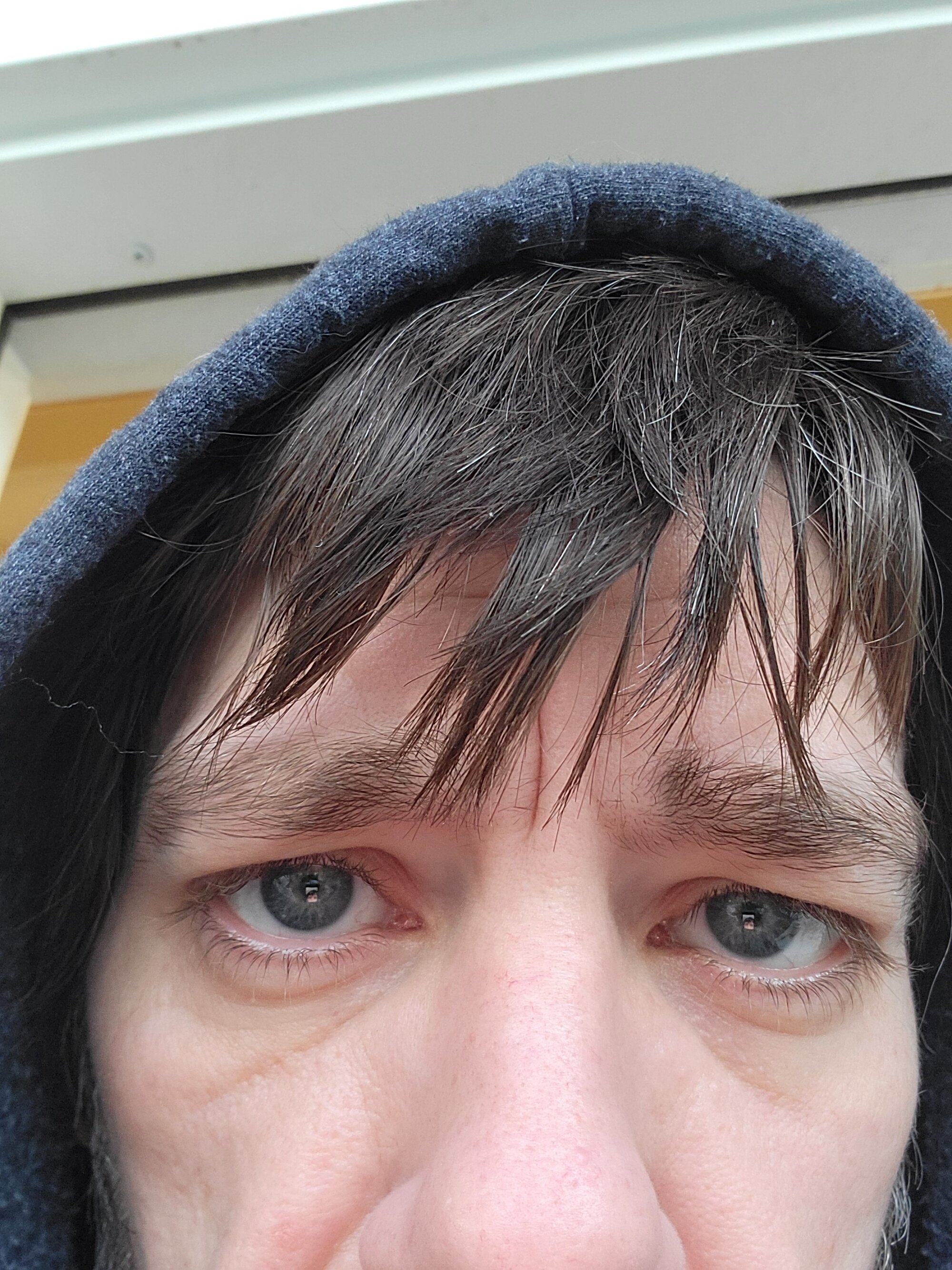 MaxJr8008 live webcam