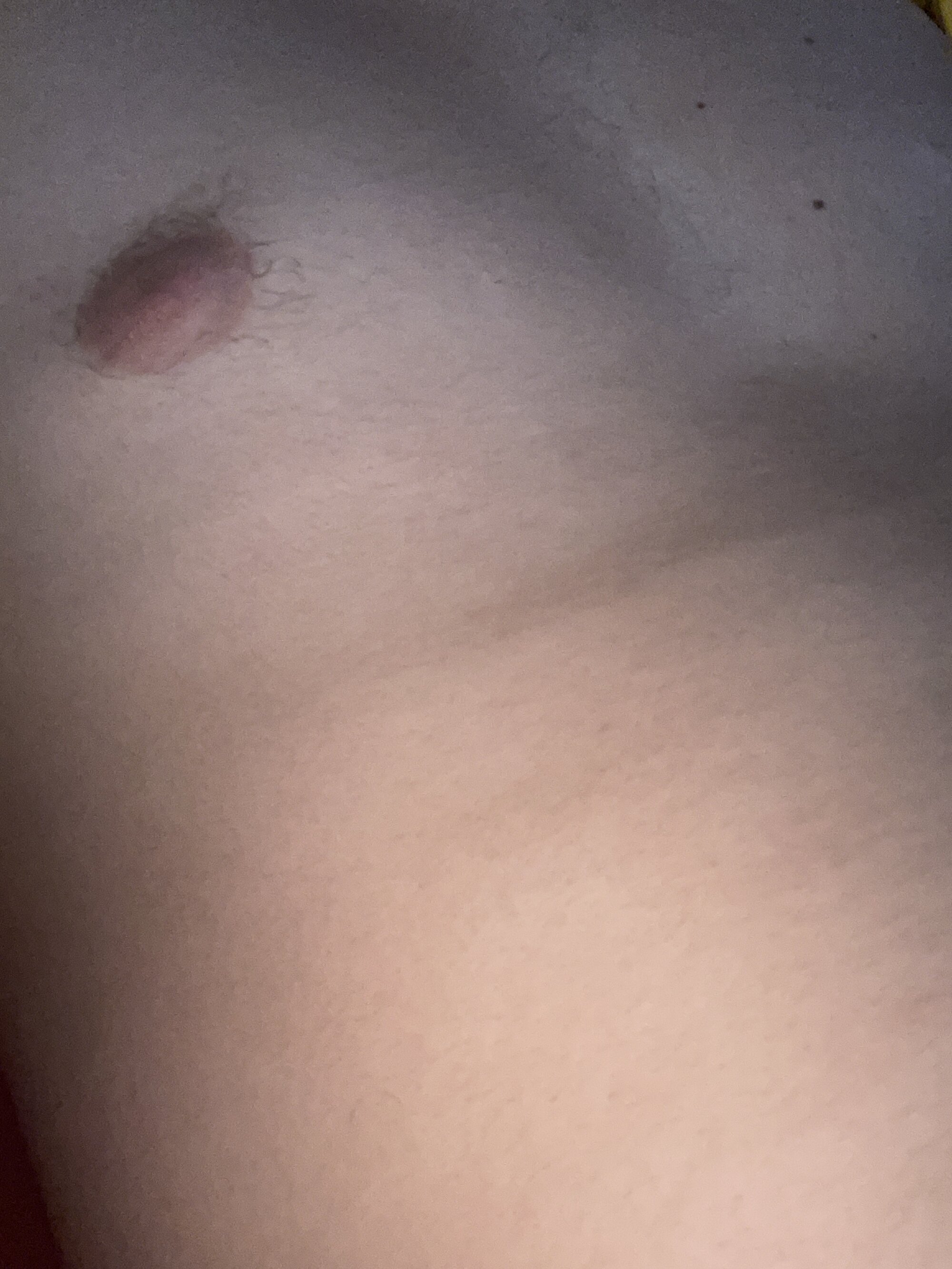 novinhode19yy