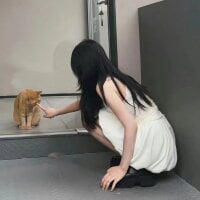 Nora-77's Offline Chat Room