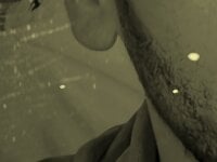 terbujeger's webcam live show