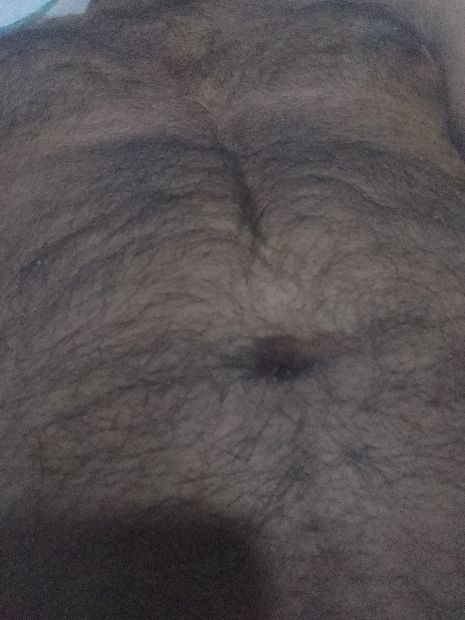 sexbinduaaa