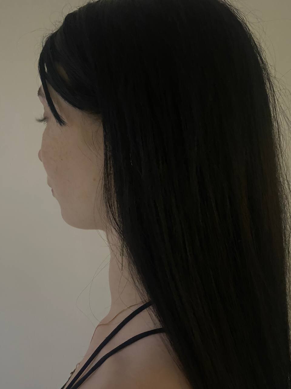 Fox_Lily