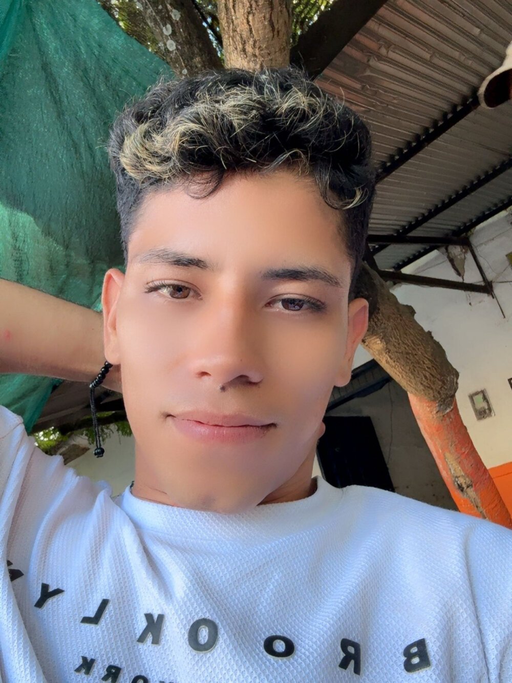 perraho from stripchat