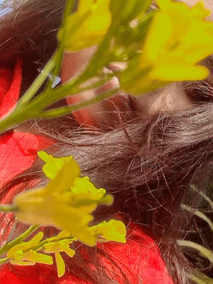 yours_swara profile