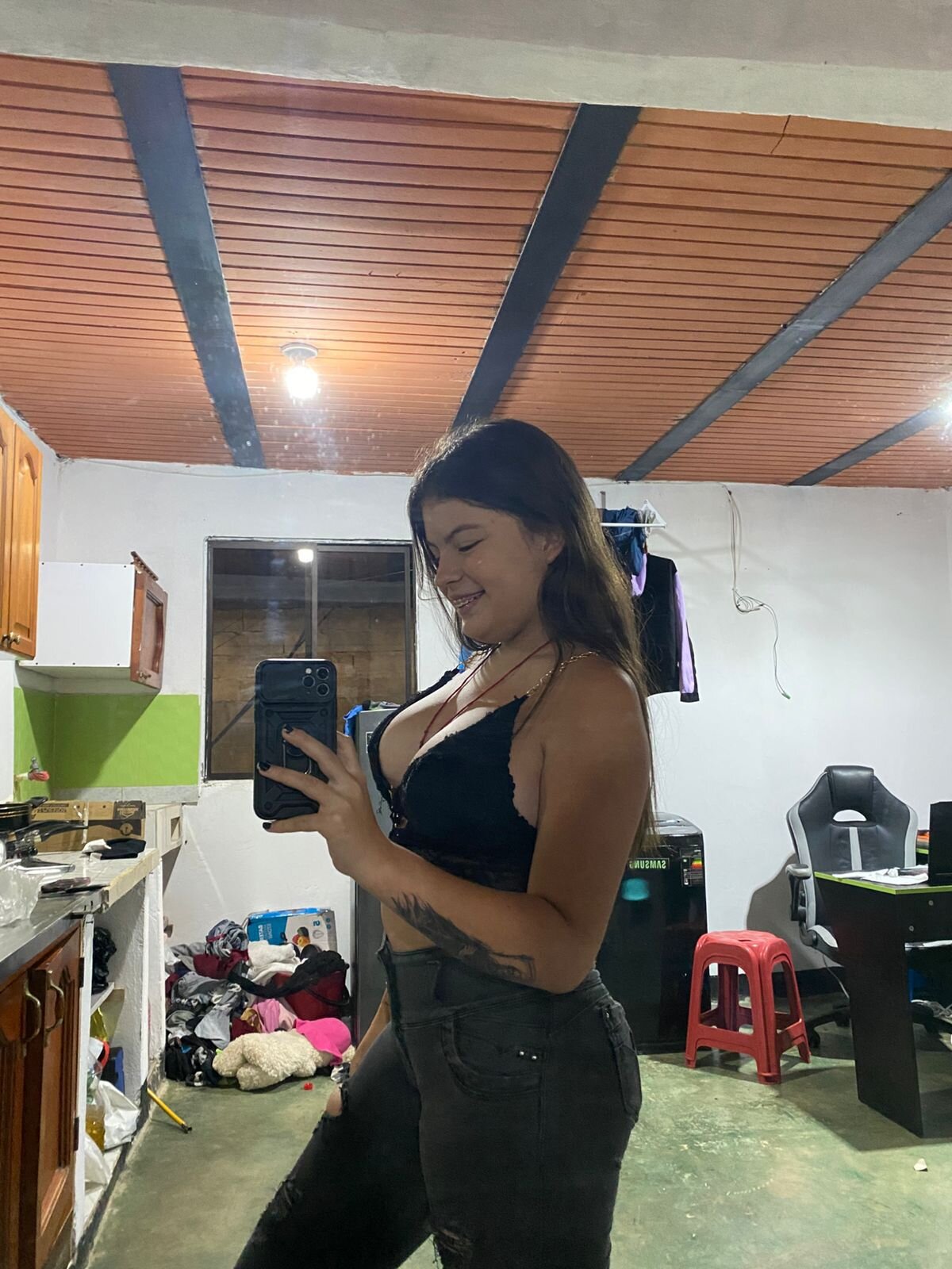 Dakotashein