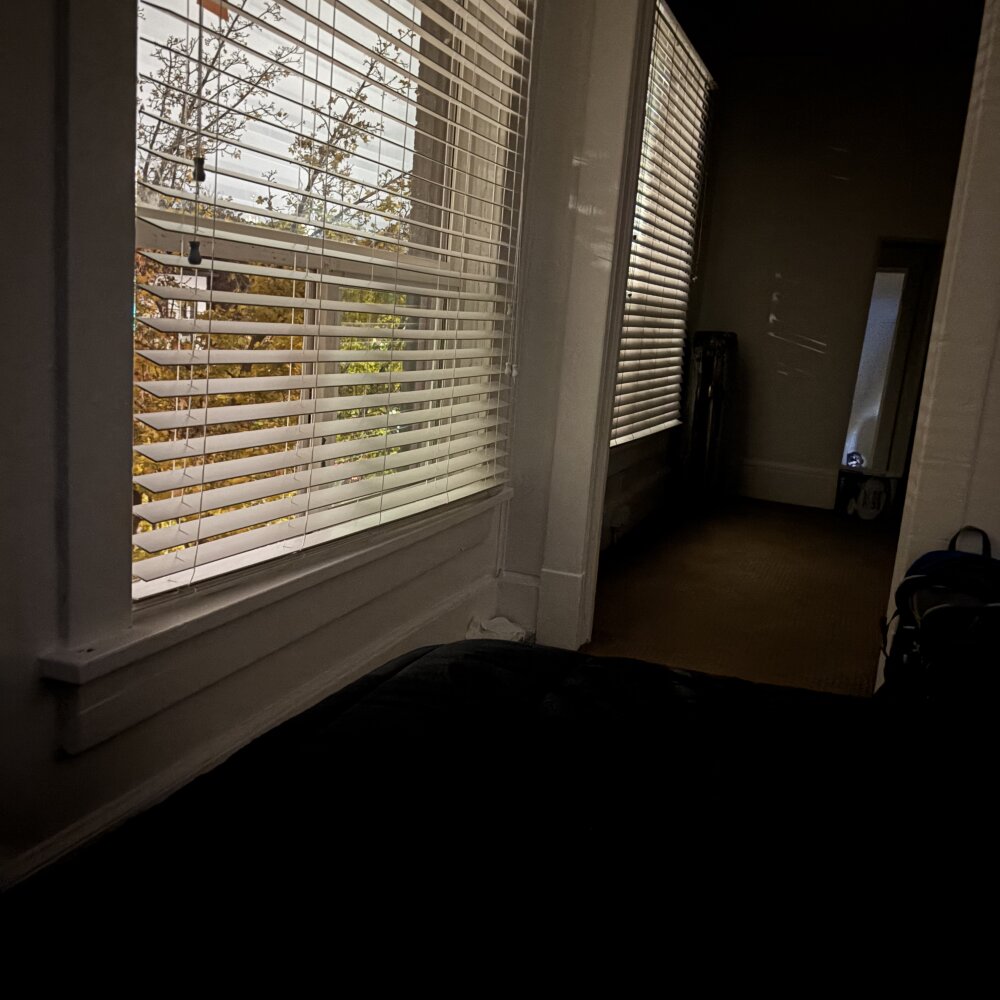 flacsuave's most recent online preview