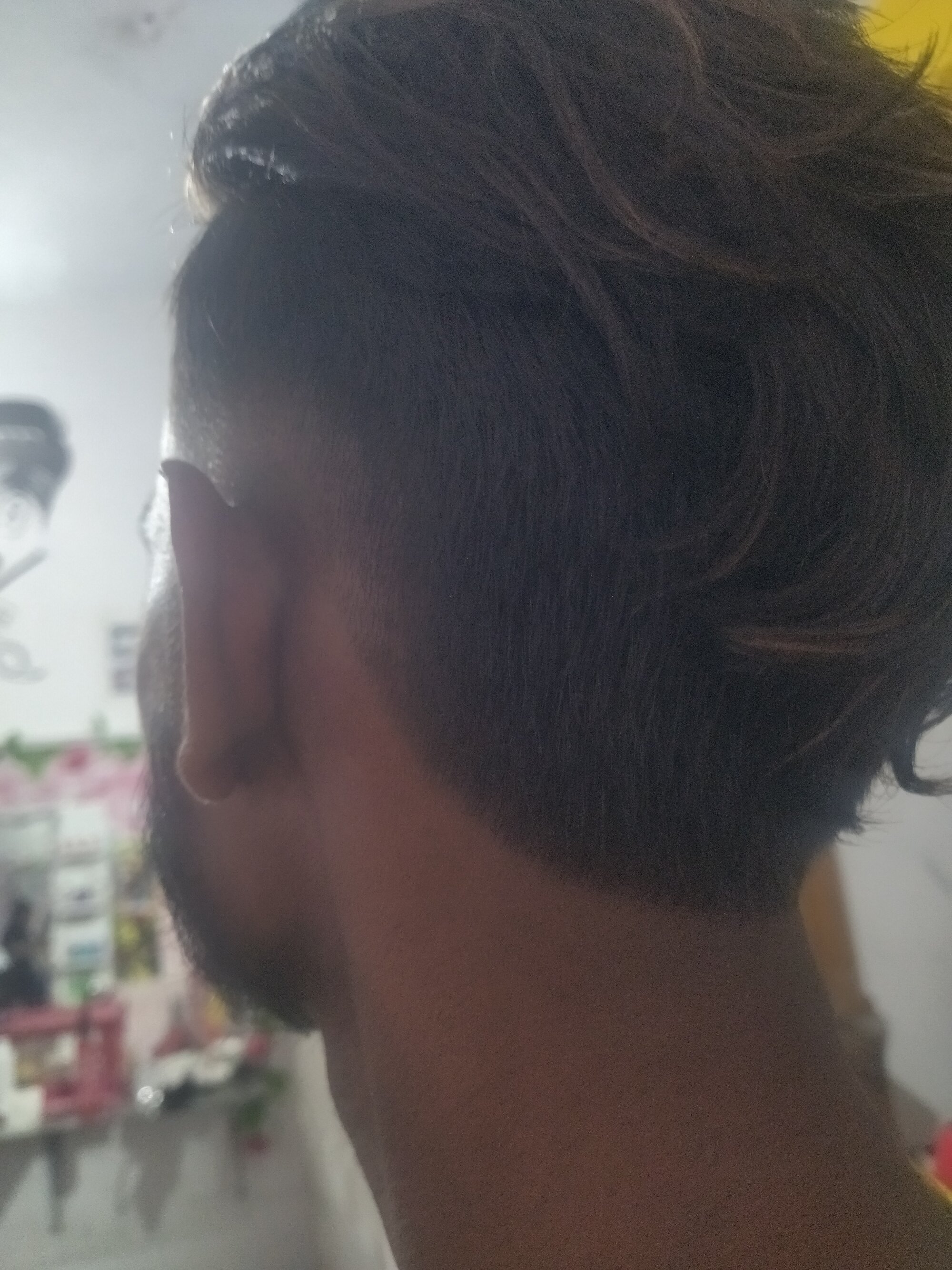 Sandu05