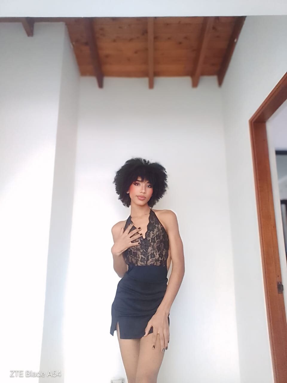 KataleyaPartyTrans