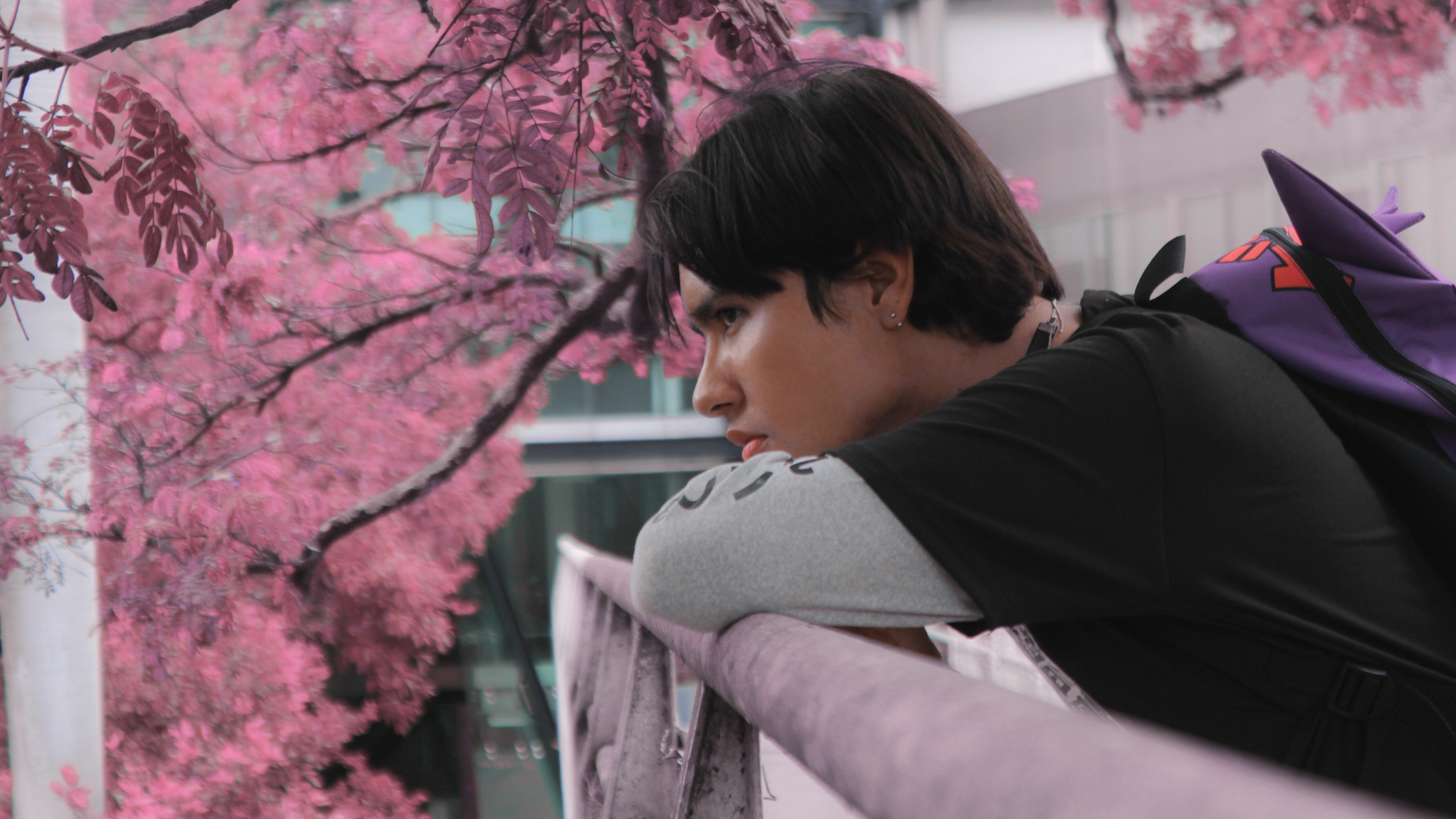shinji-18