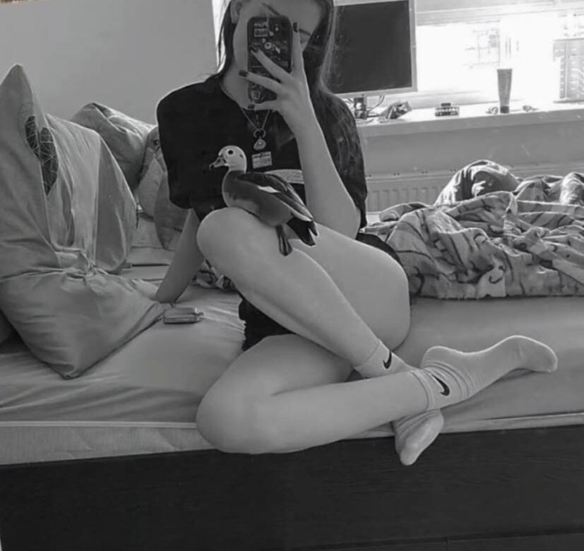 sleekcams.com viellastey livesex profile in cauca cams