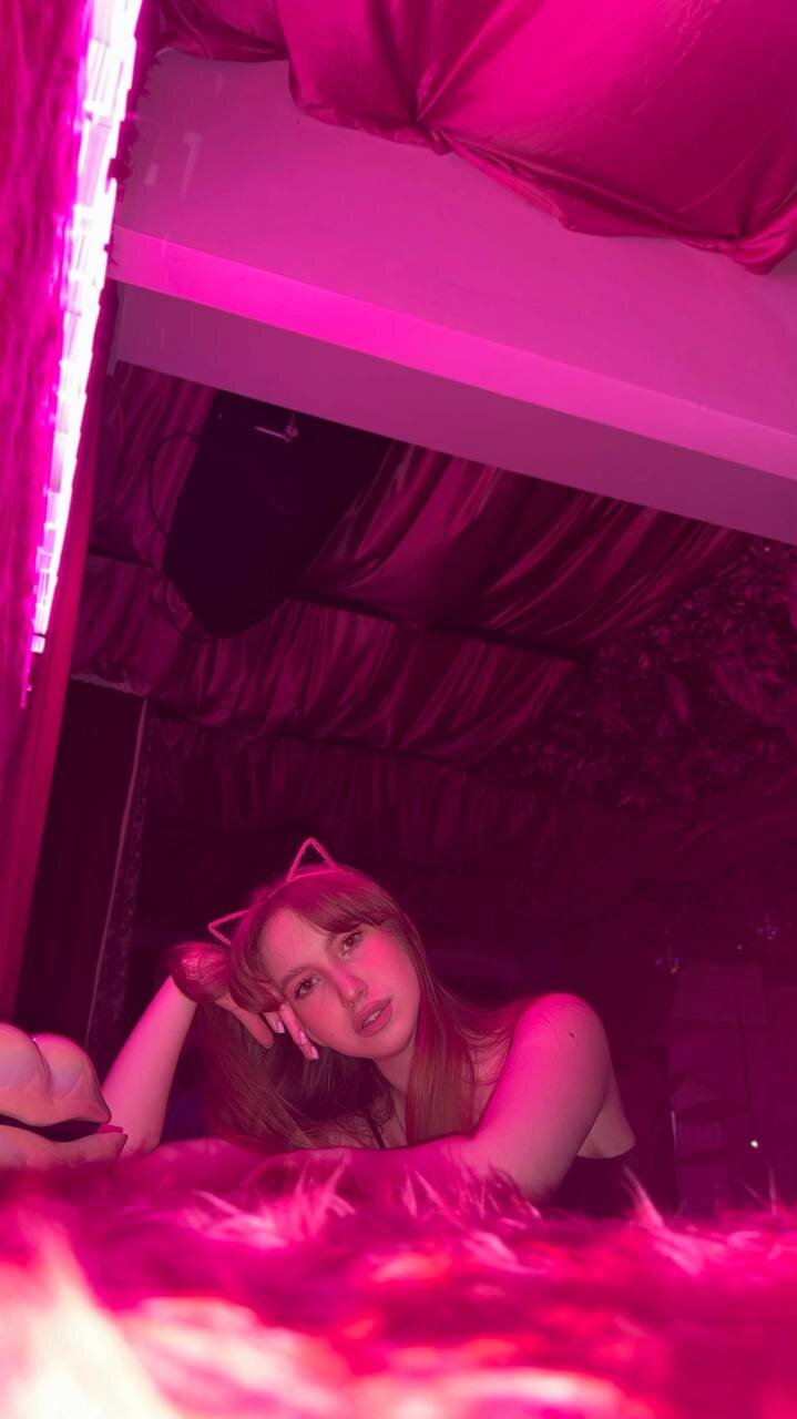 Quiet_Kitten