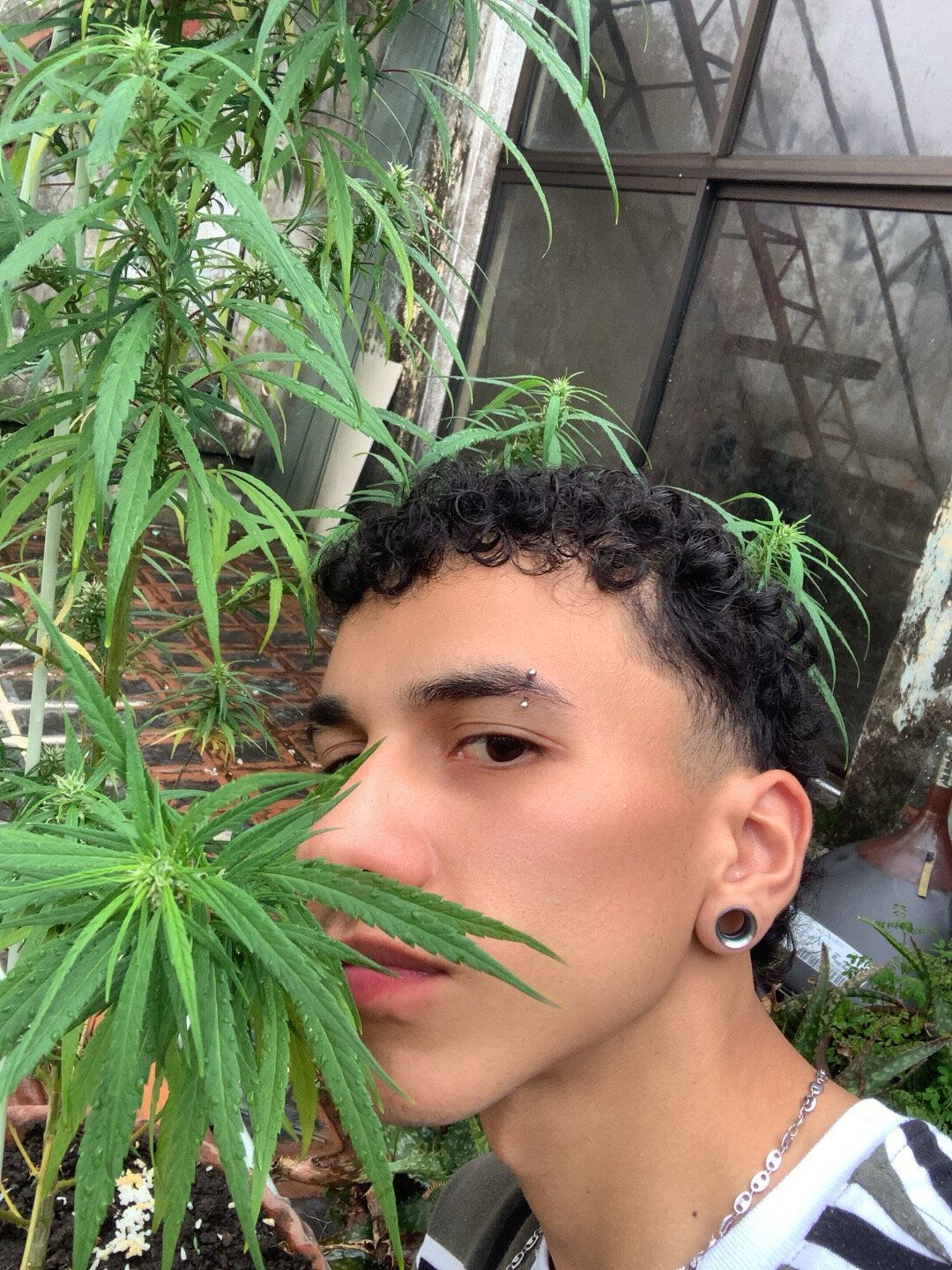 Arty_01