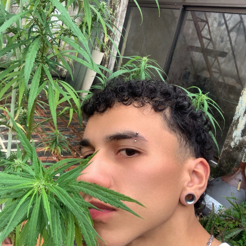 Arty_01 profile