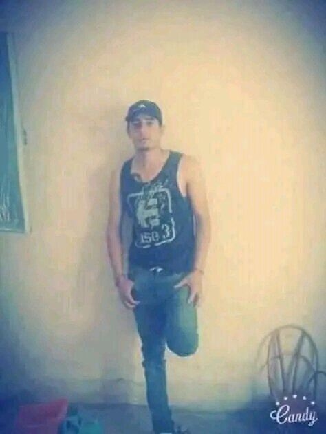 bandido533