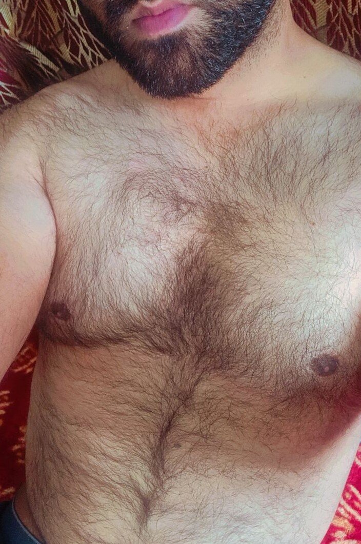 BibearXXX