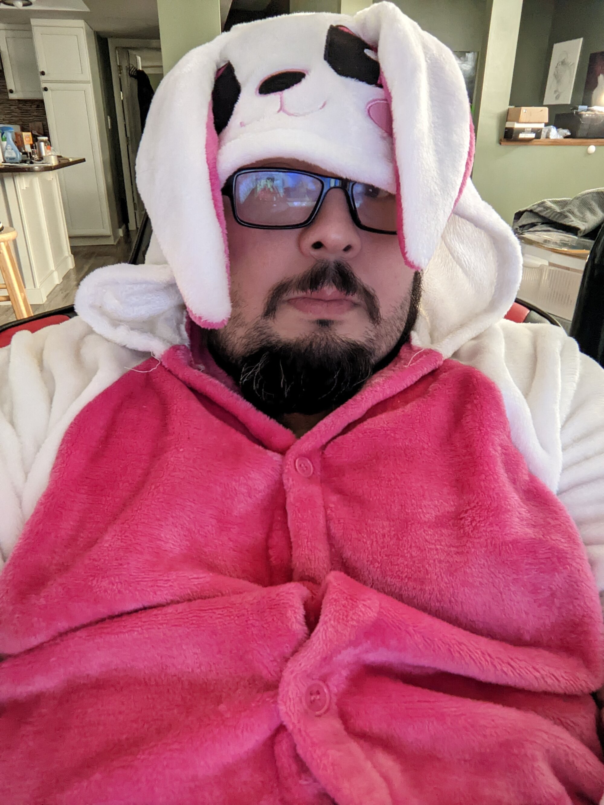 WTF_is_Nibbler