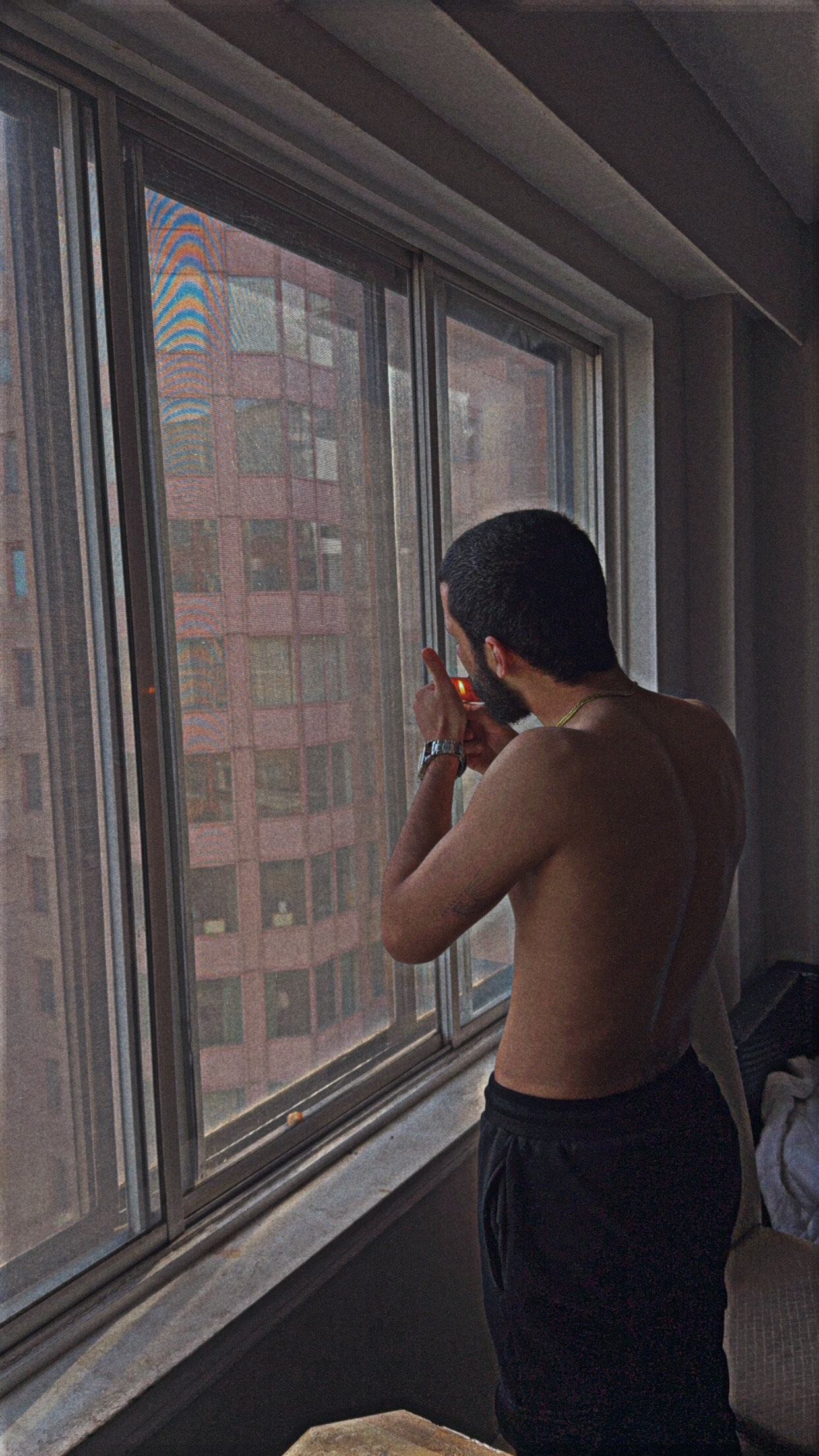 gambabgh live webcam