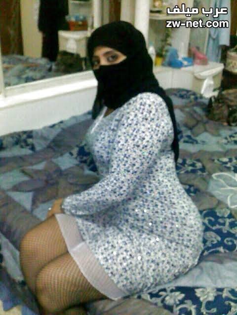 Meraty_gamda12345