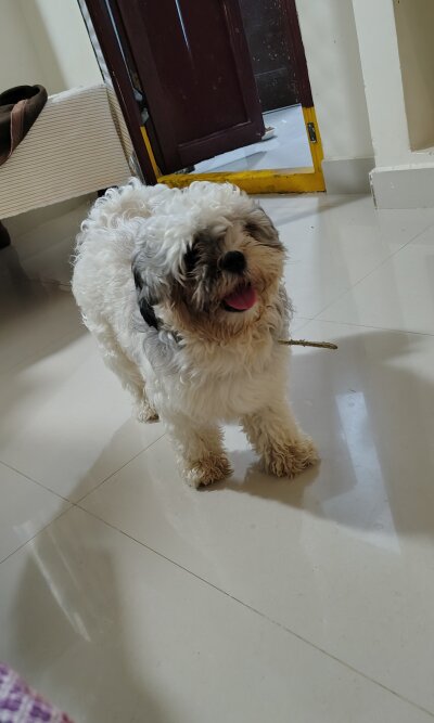 Reddy2025 Live Cam on StripChat