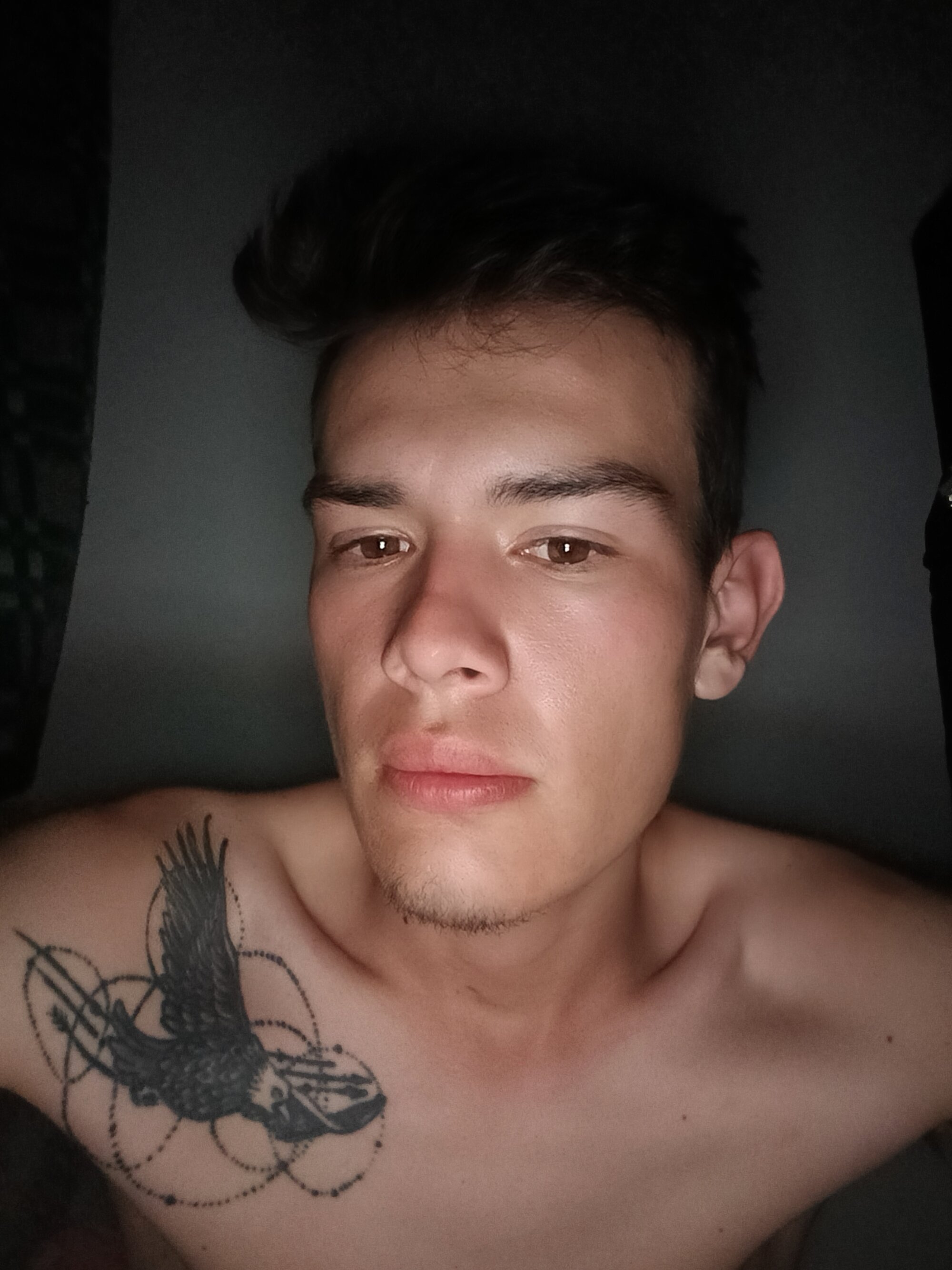 Asshot_fox