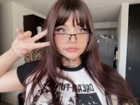 transilbriana webcam thumbnail