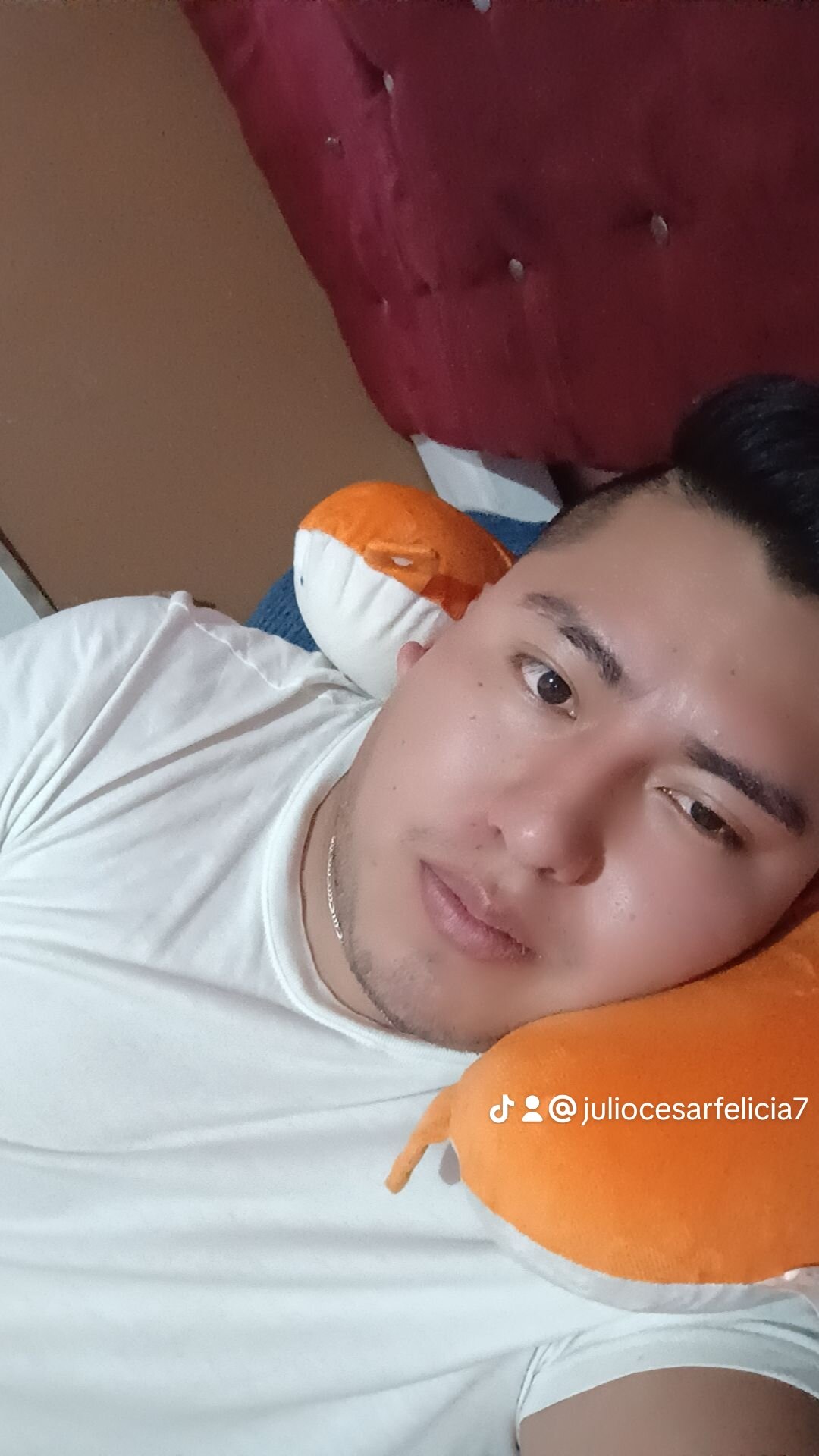 yony1379