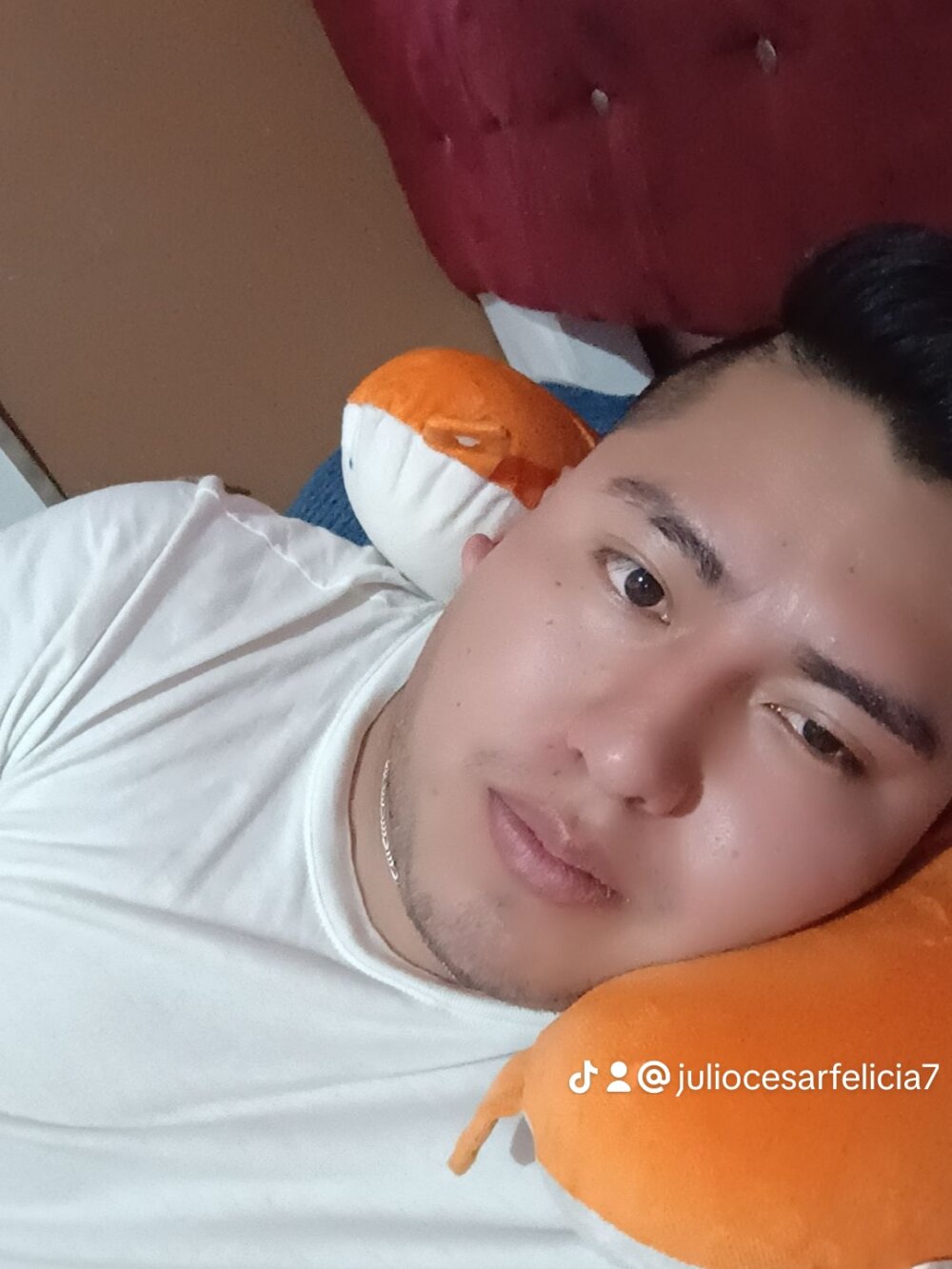 yony1379
