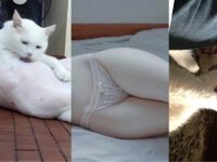 honeysuckle24's Offline XXX Chat