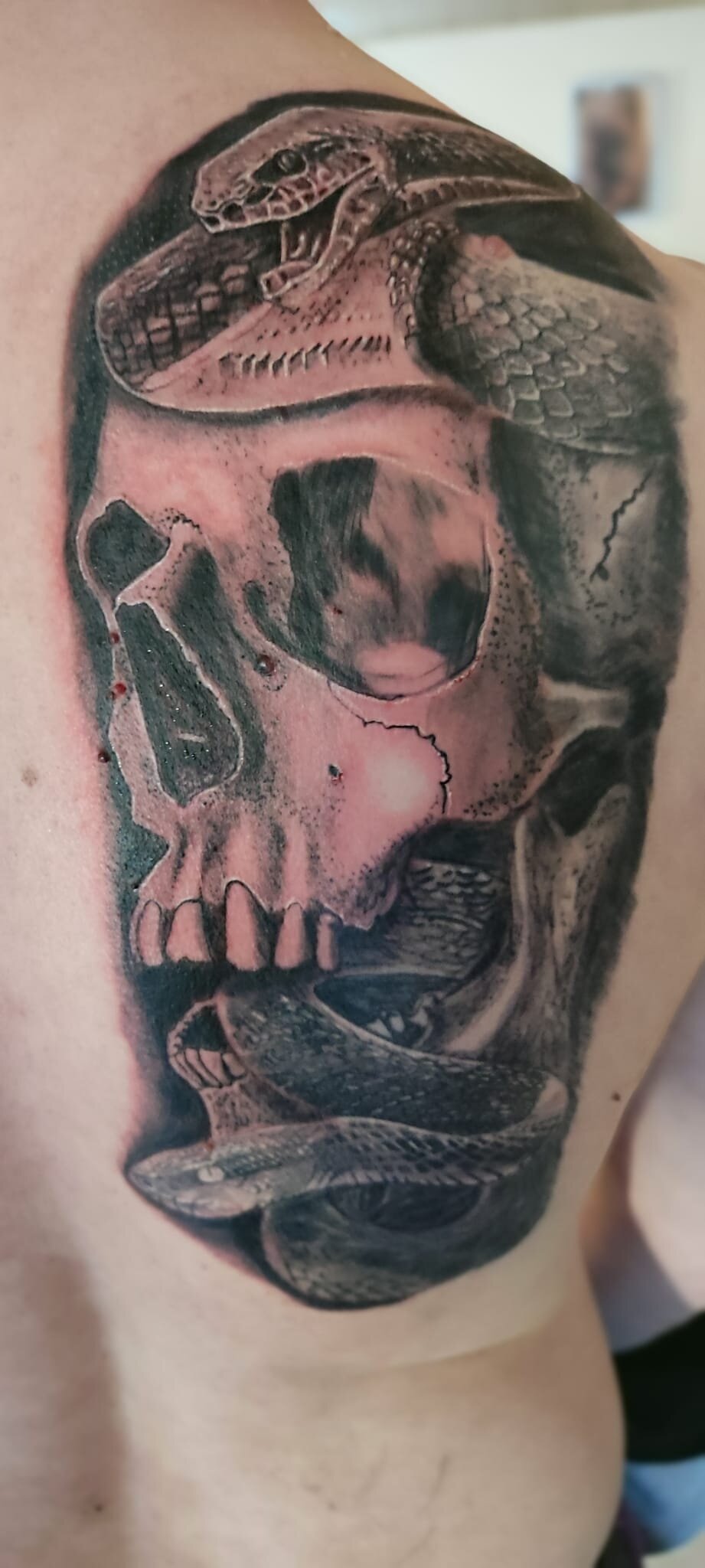 SmokeSerpent