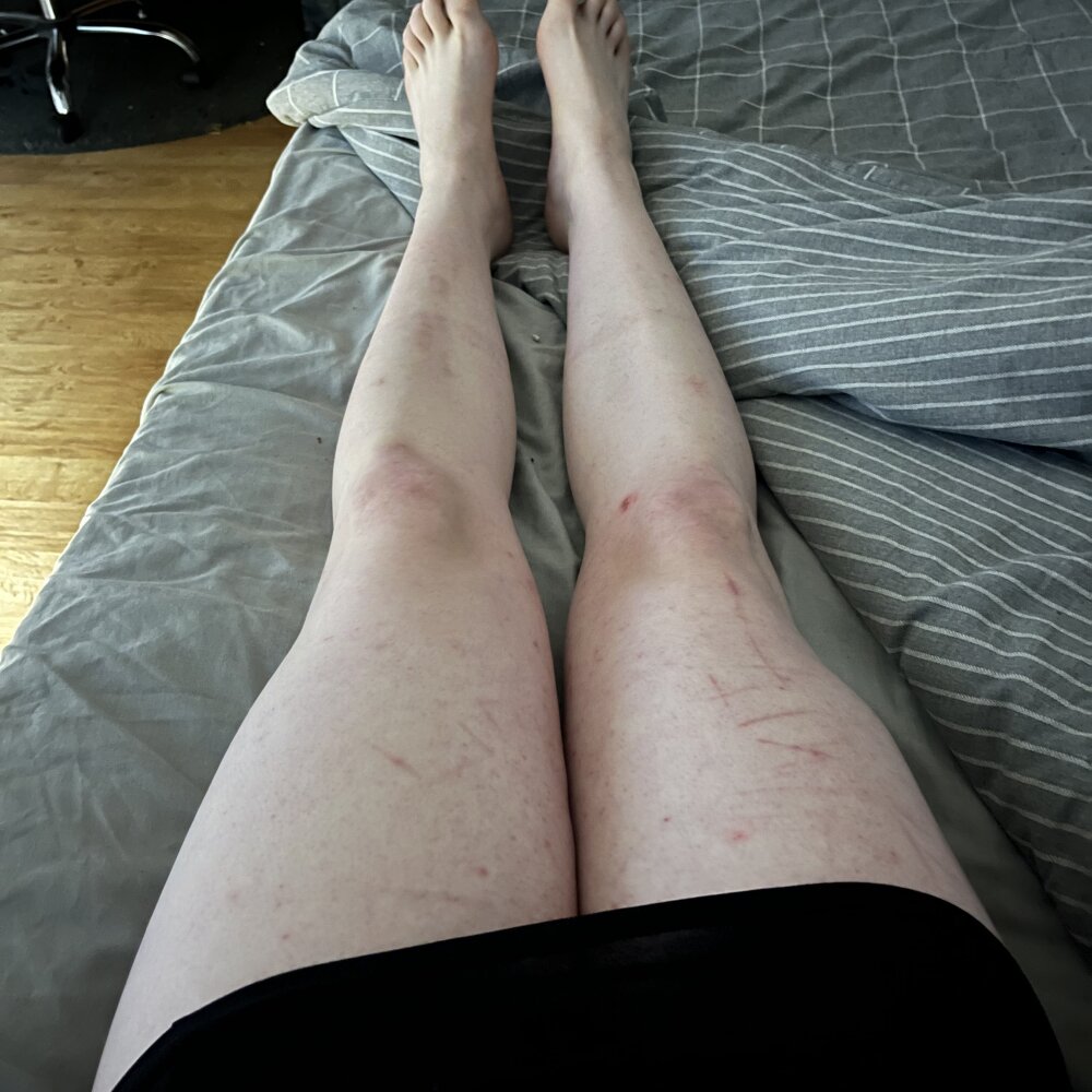 submissivesissybitch from stripchat