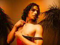 Модель TylerBloom