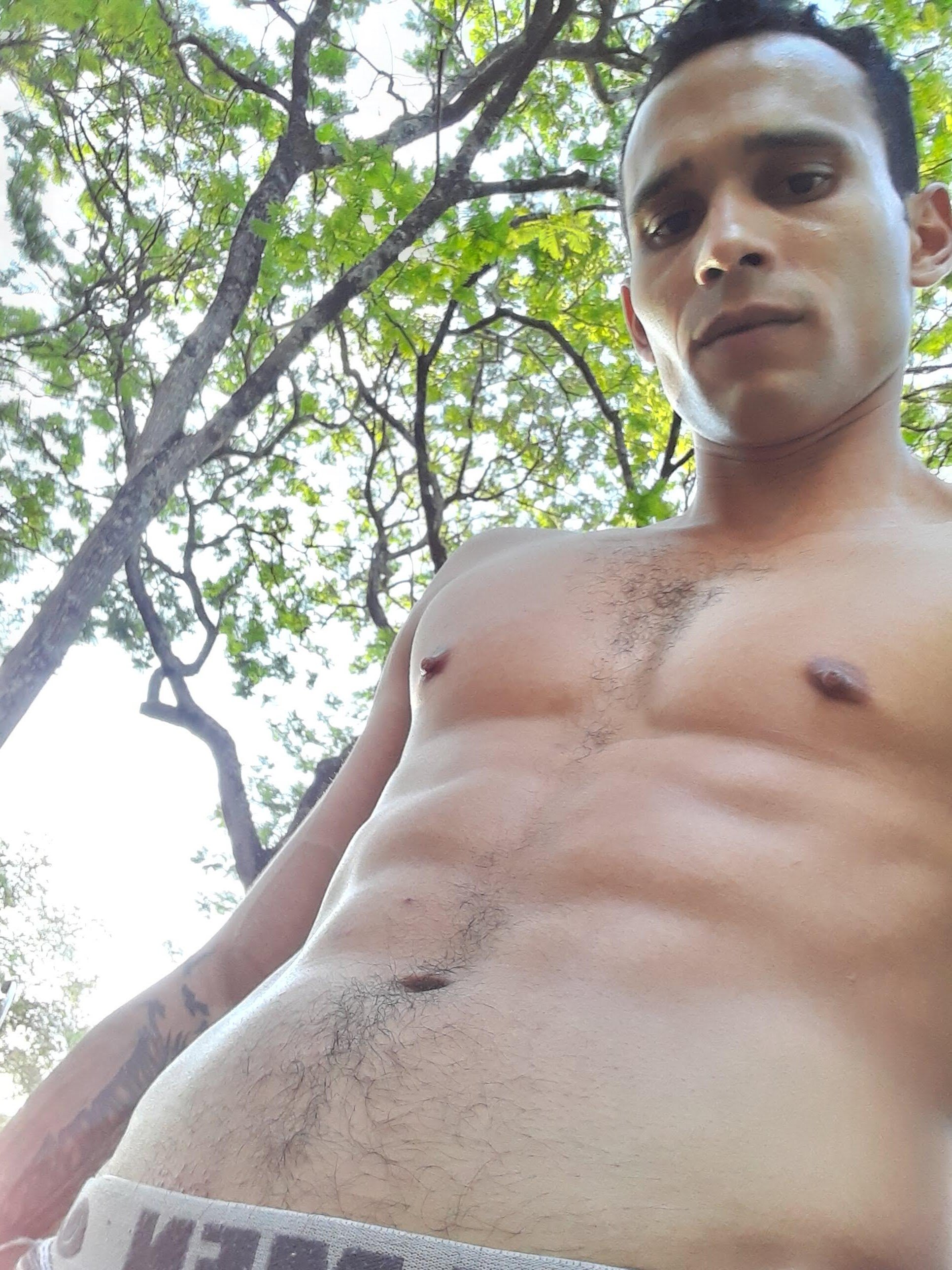 dantaradinho
