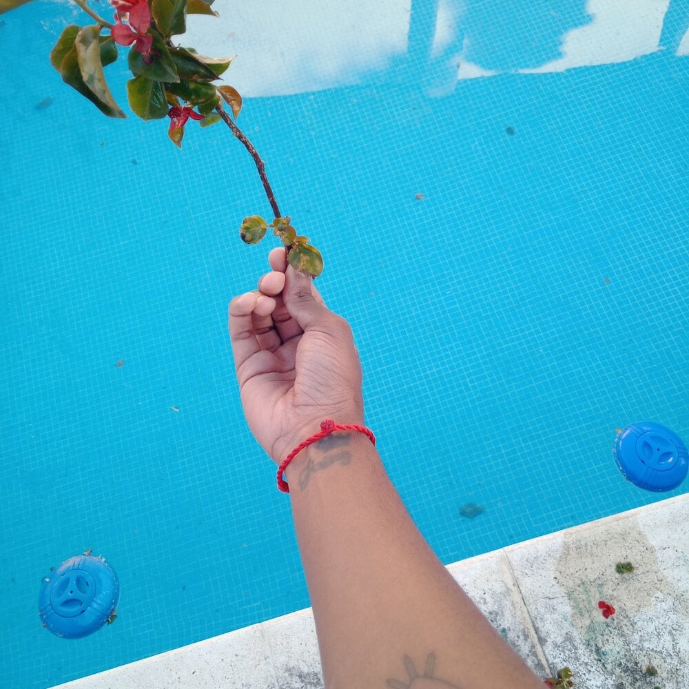 thomasmichael36_'s Offline XXX Chat