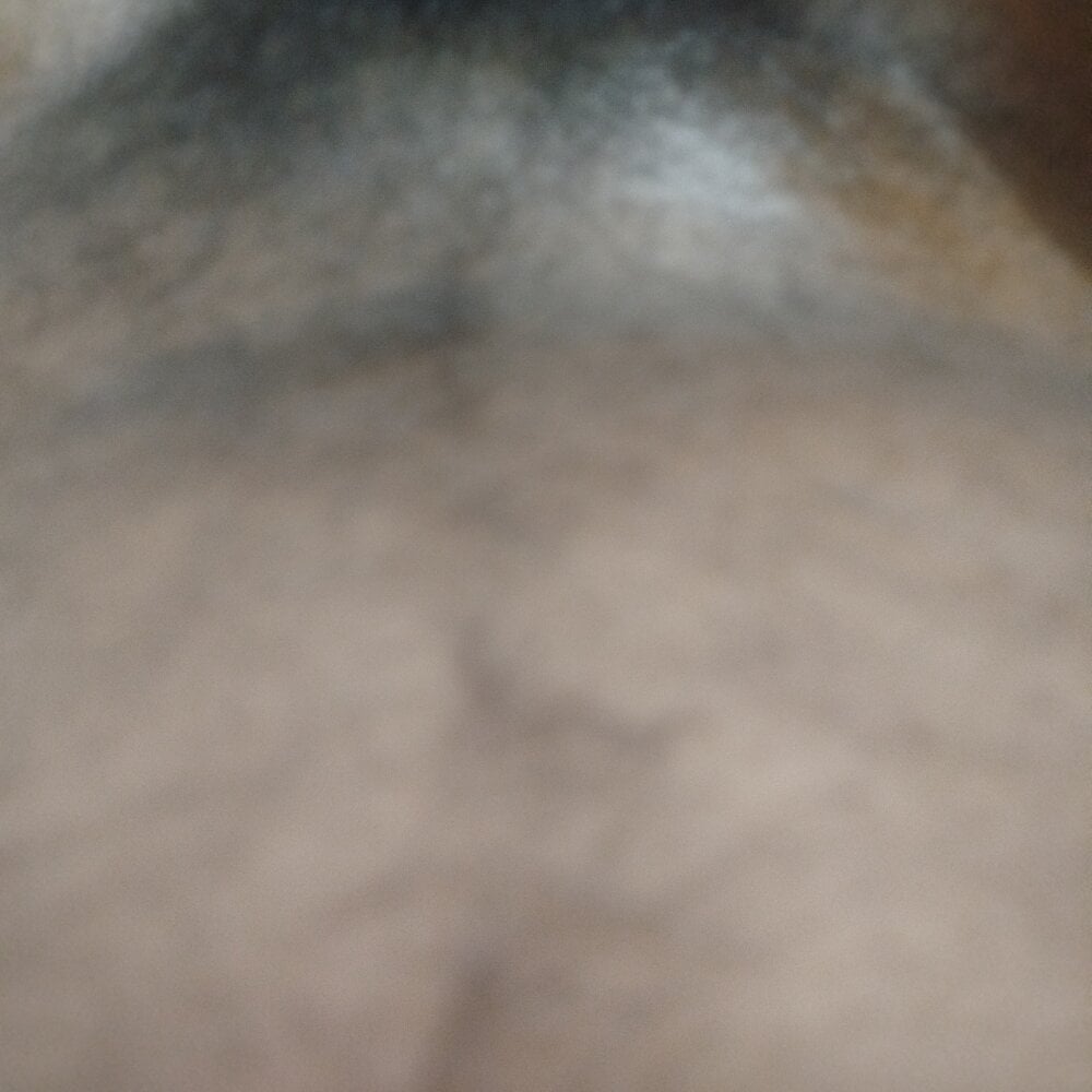 Slvijay profile