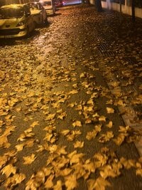 Versatilpollon22's webcam live show