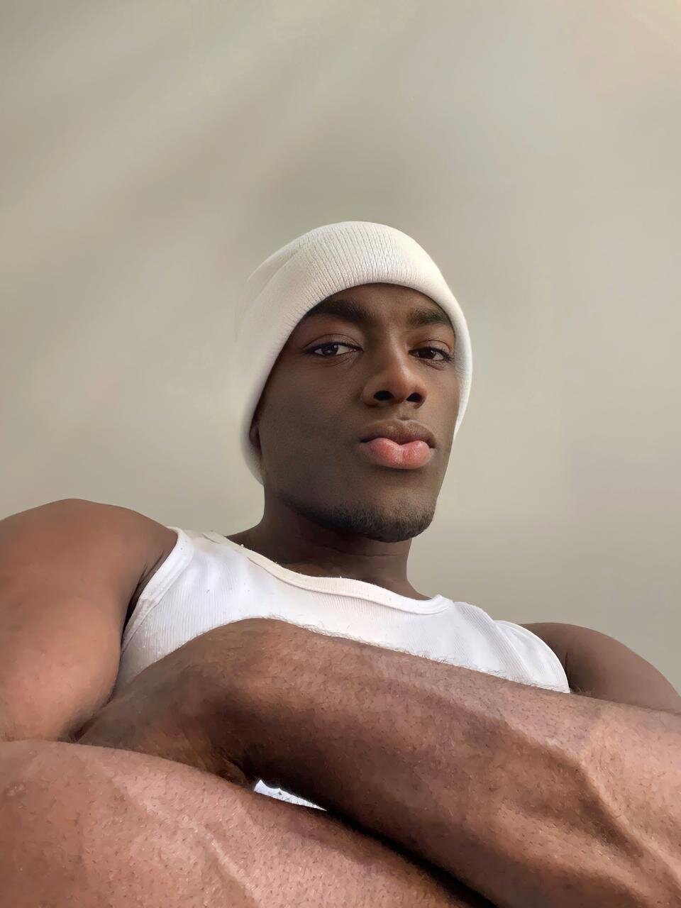 JanStallion