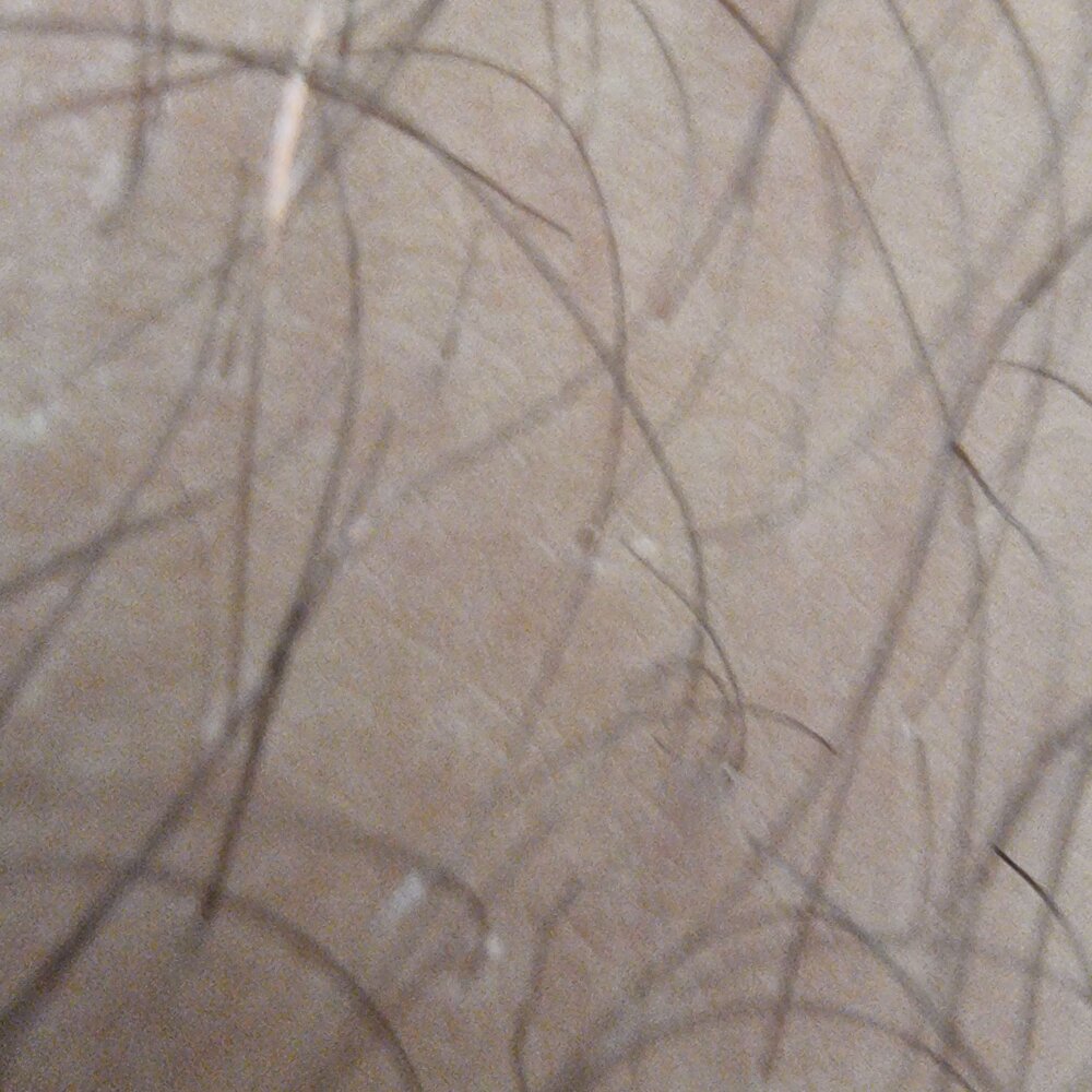 Paulxo12q's Offline XXX Chat