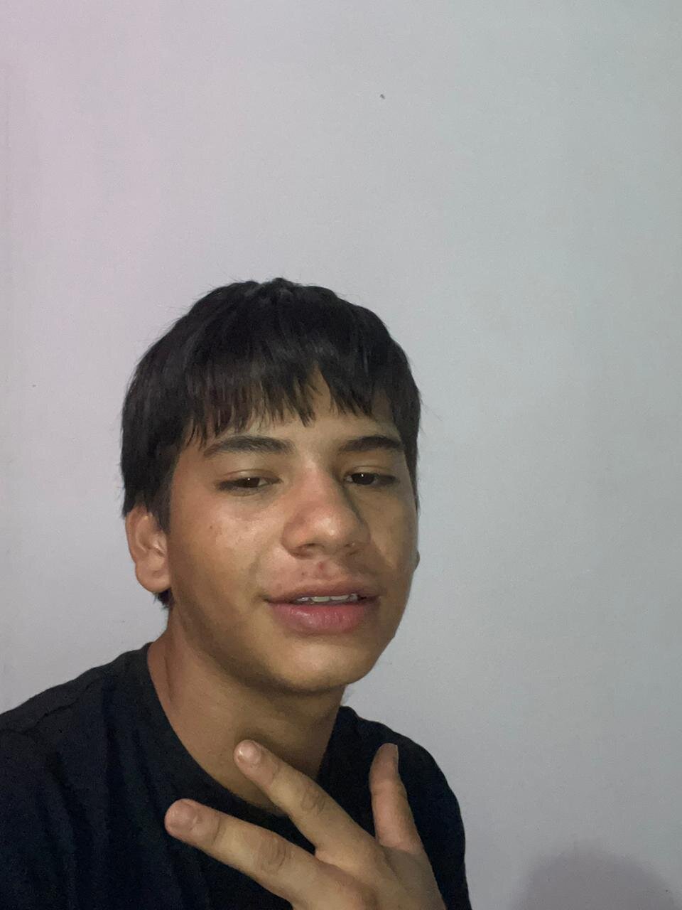 Jay_fox1