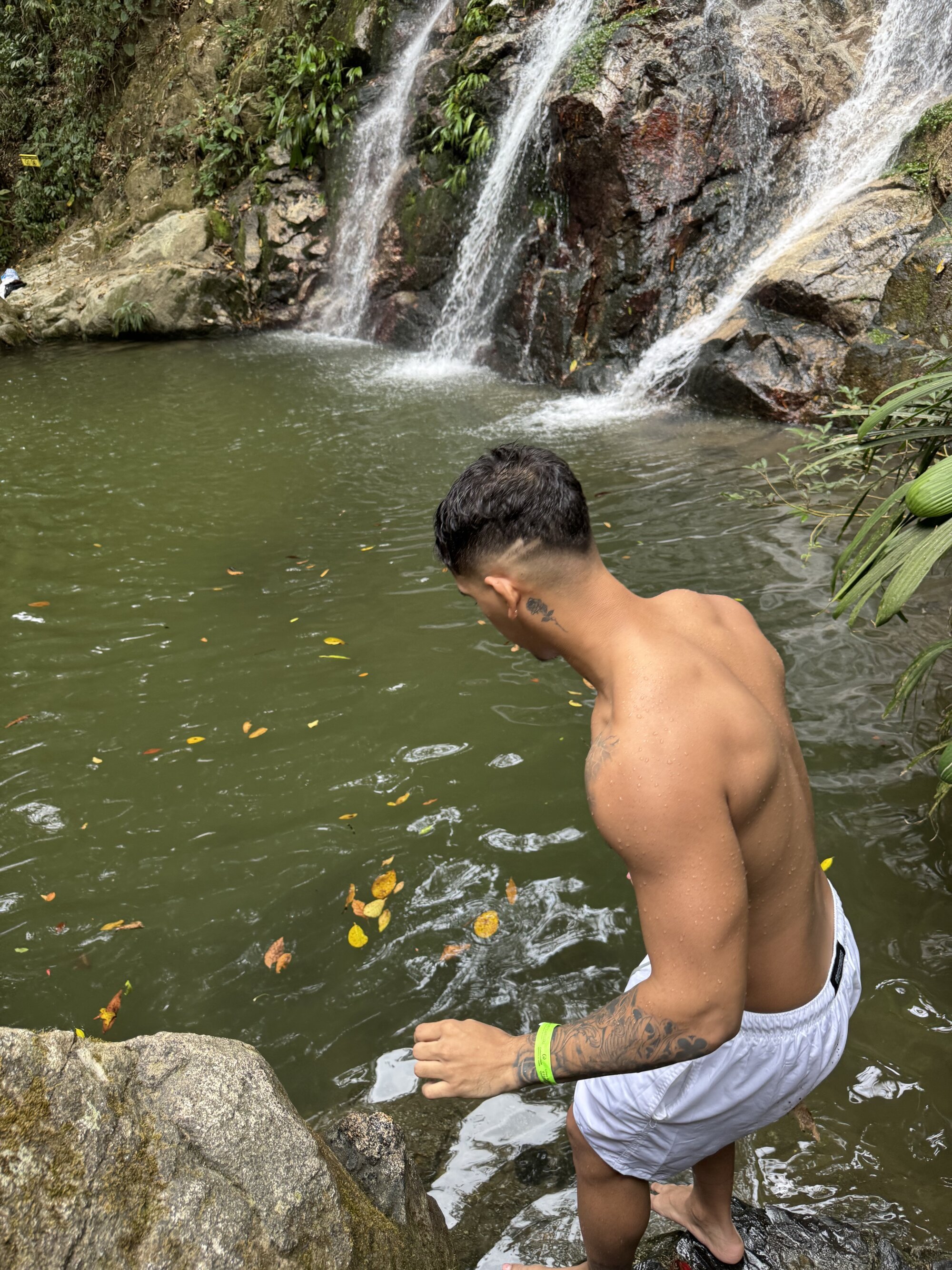 ryder_king2