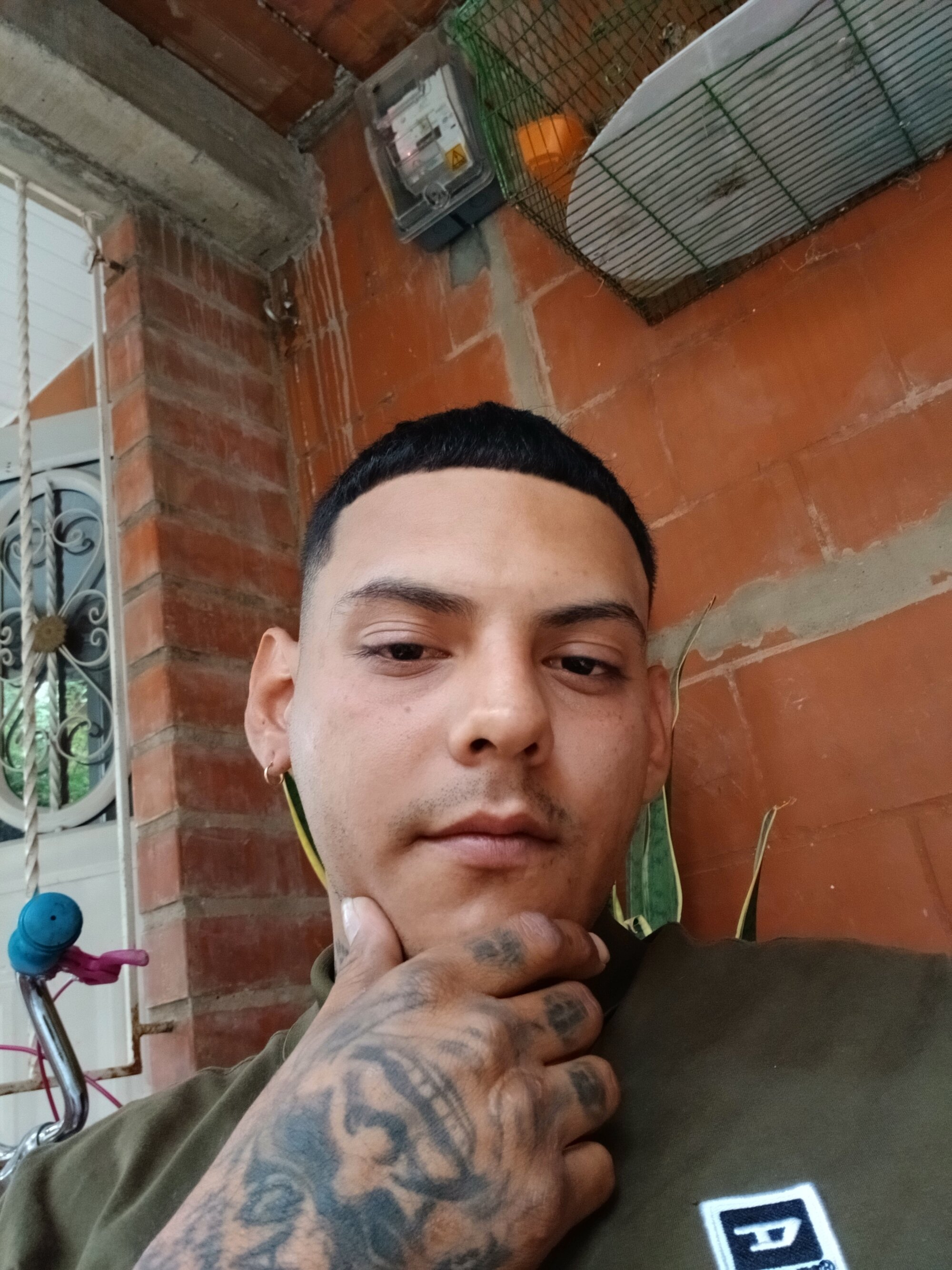 malo_h29