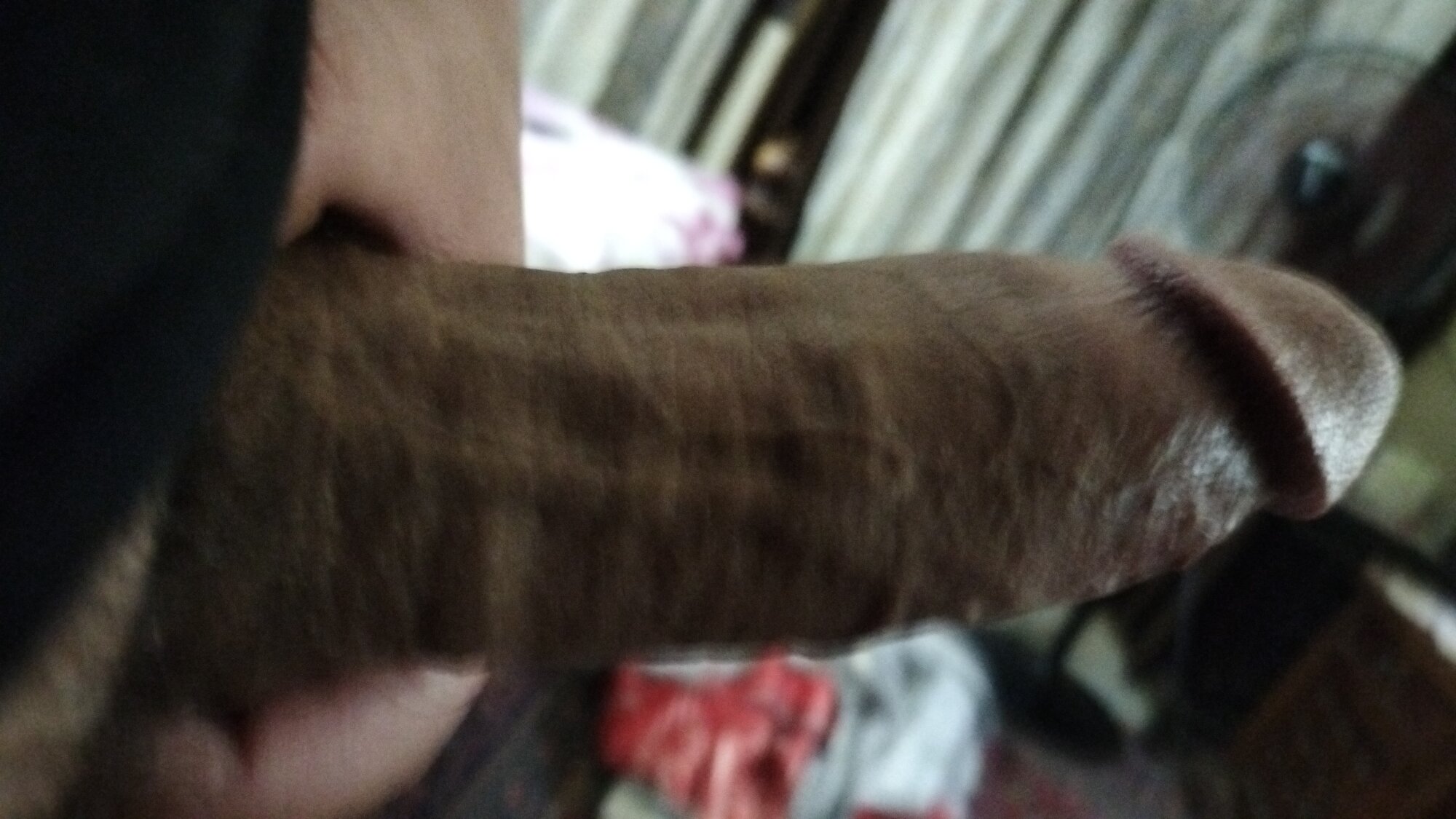 Zobr_bolbol