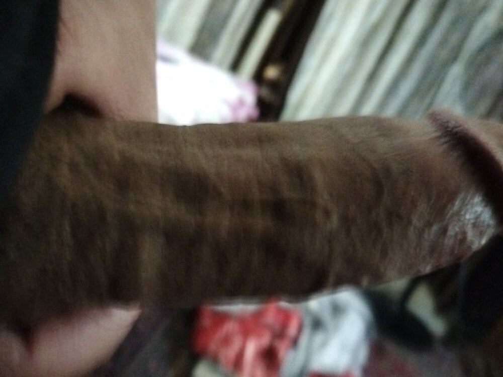 Zobr_bolbol