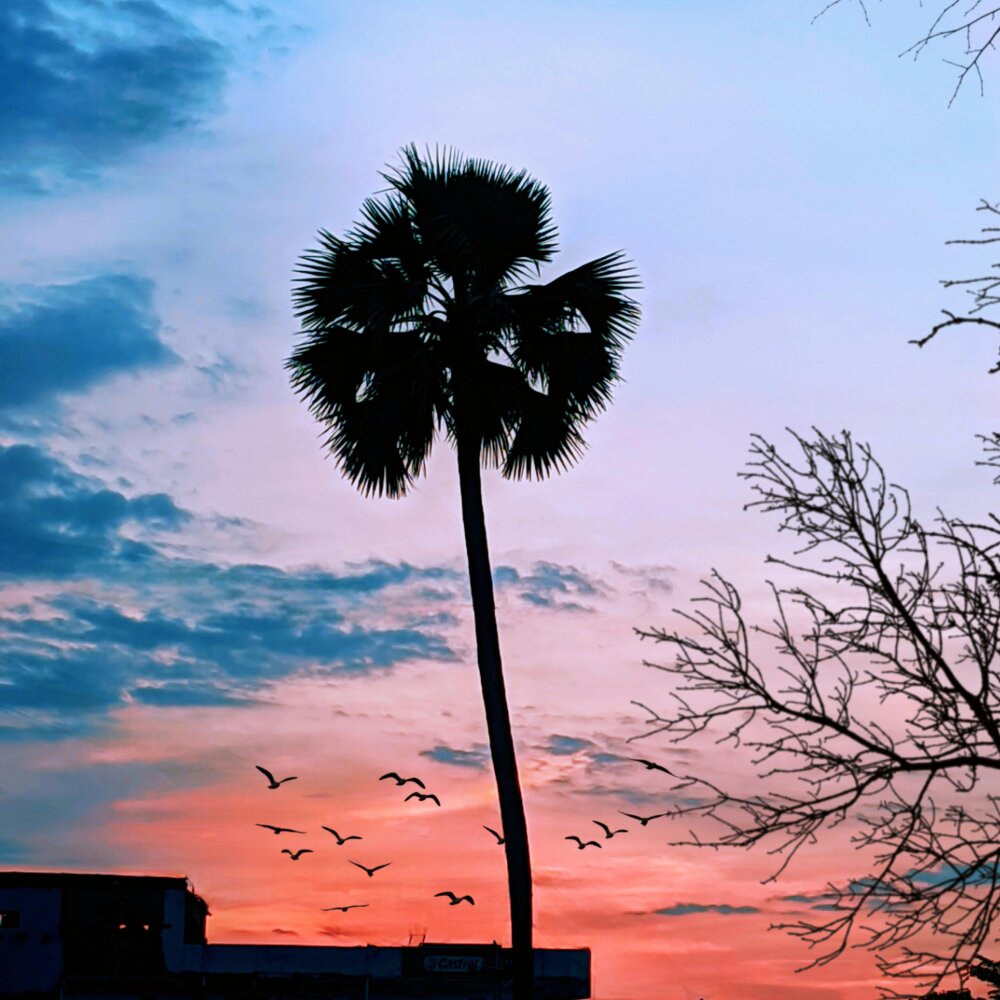 Pasiysex2026 profile