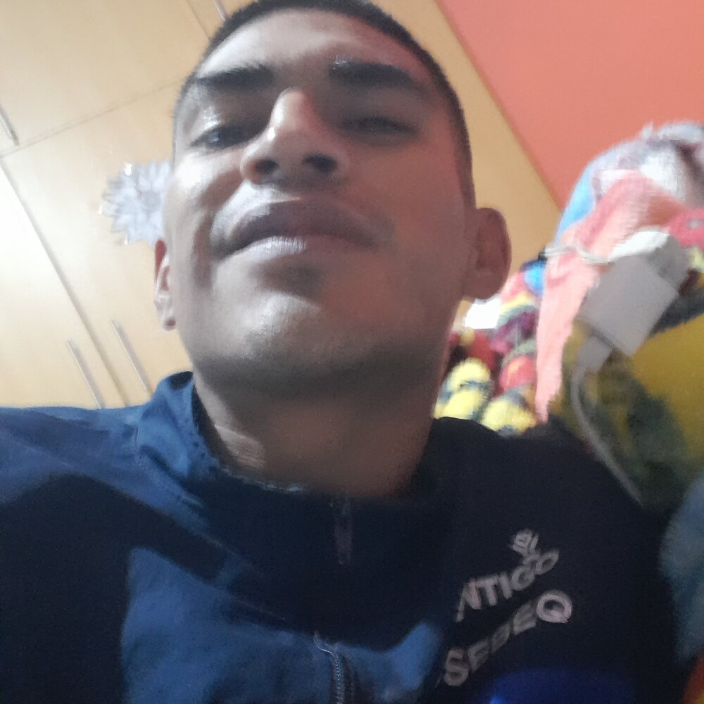 NebuloseFurore 오프라인 XXX 채팅